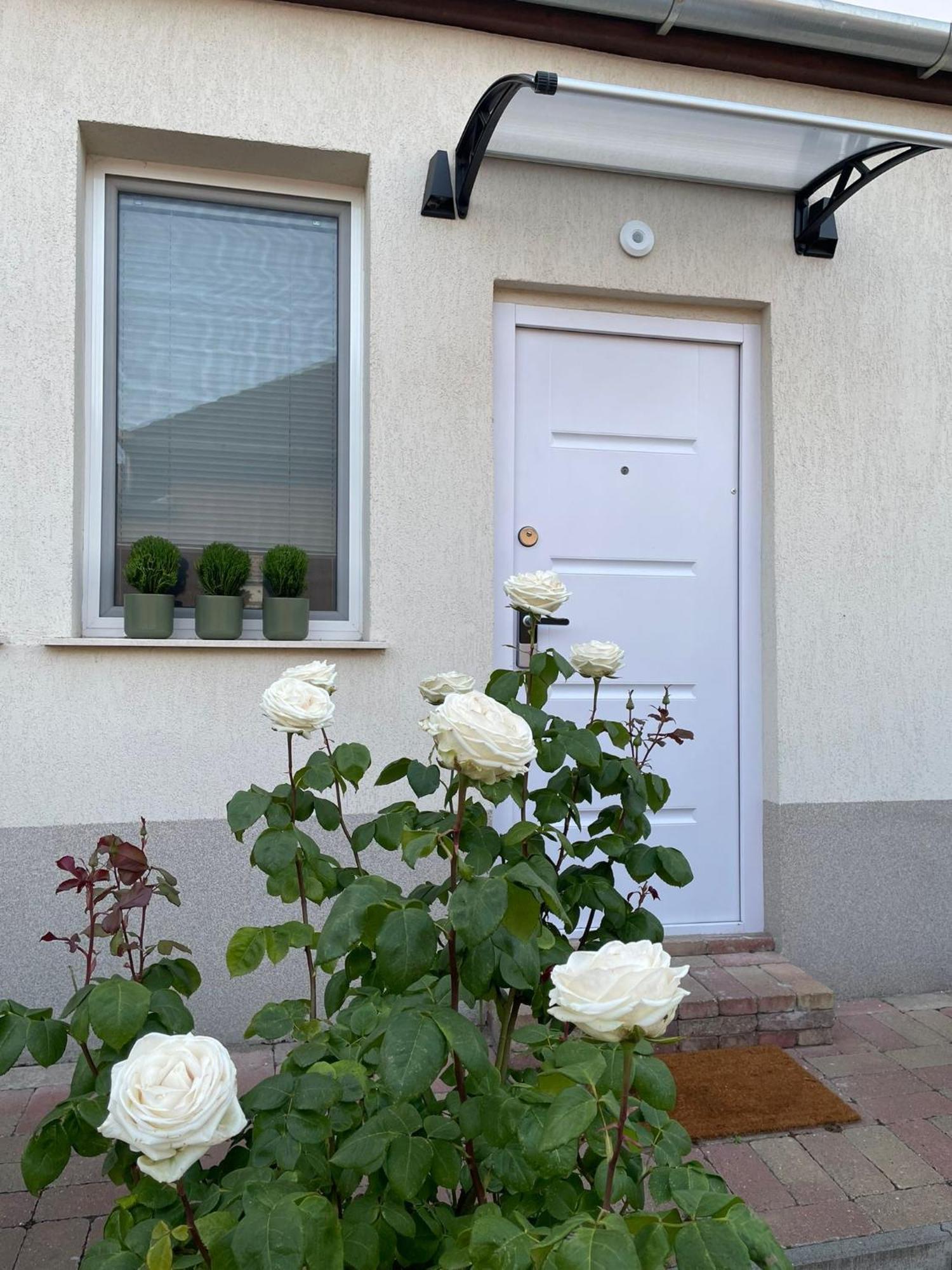 Apartment Noer
